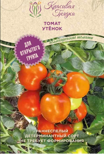 Утенок..